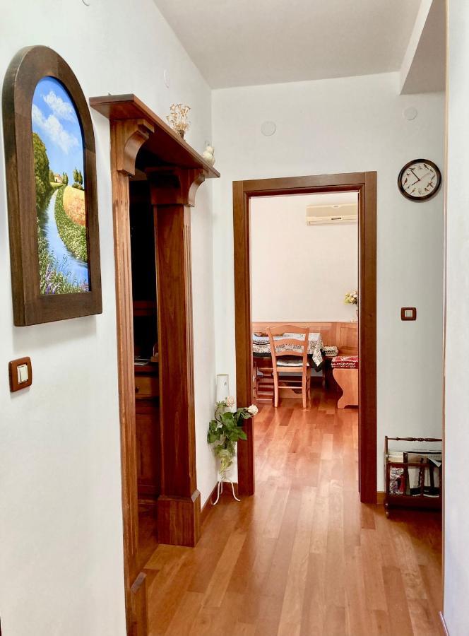 Medusa Apartament *